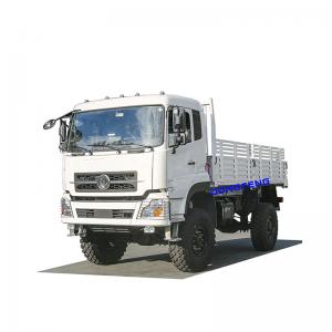 Dongfeng 4x4 LHD 8~10 ton freight wagon transport truck