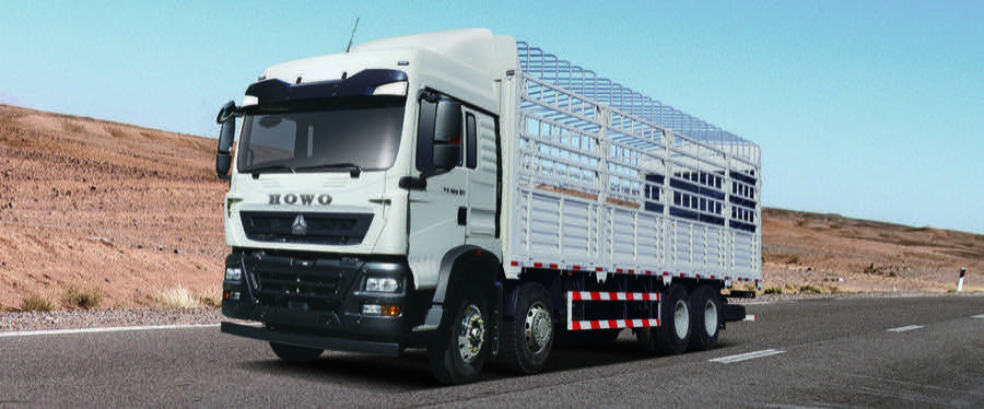 HOWO TX 340 Cargo Truck